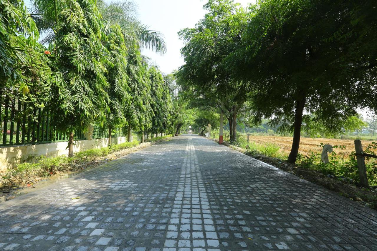 Mann The Palm Retreat Lucknow Exterior foto